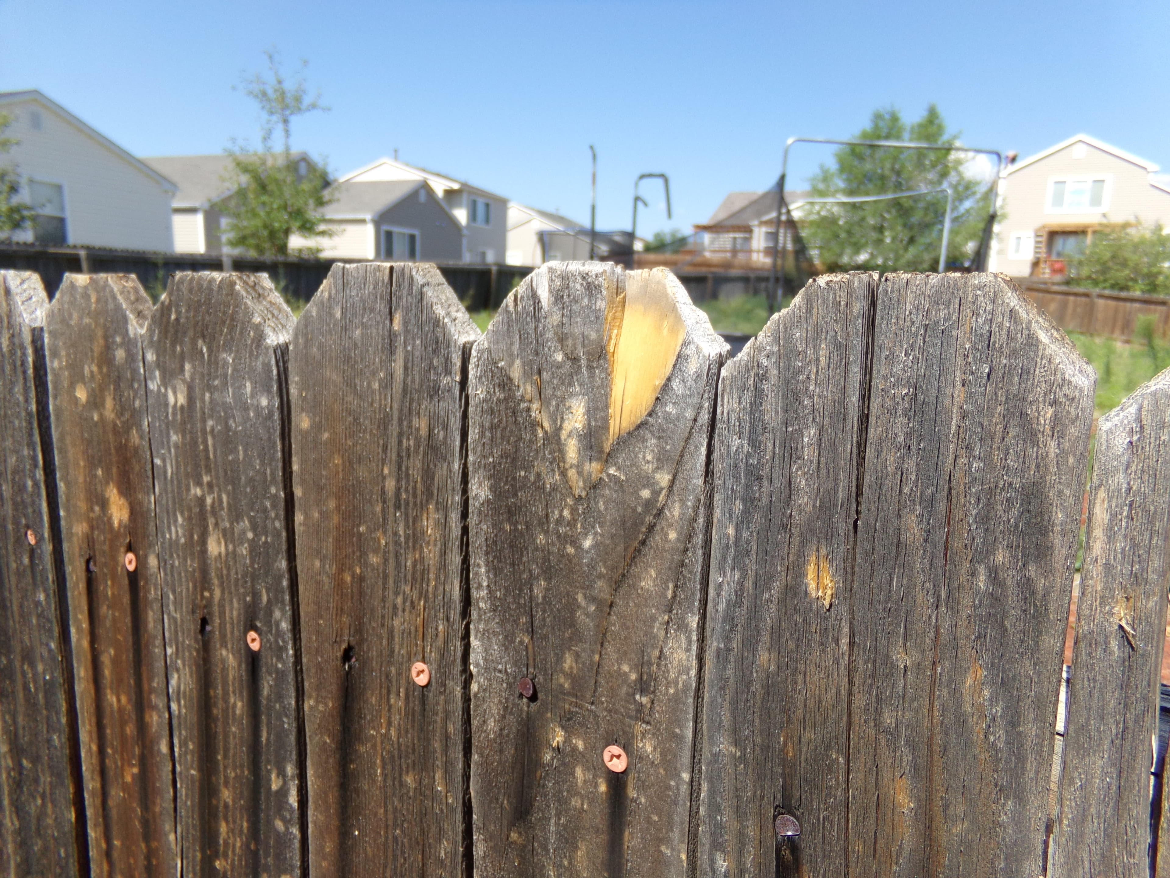 Fences & Decks