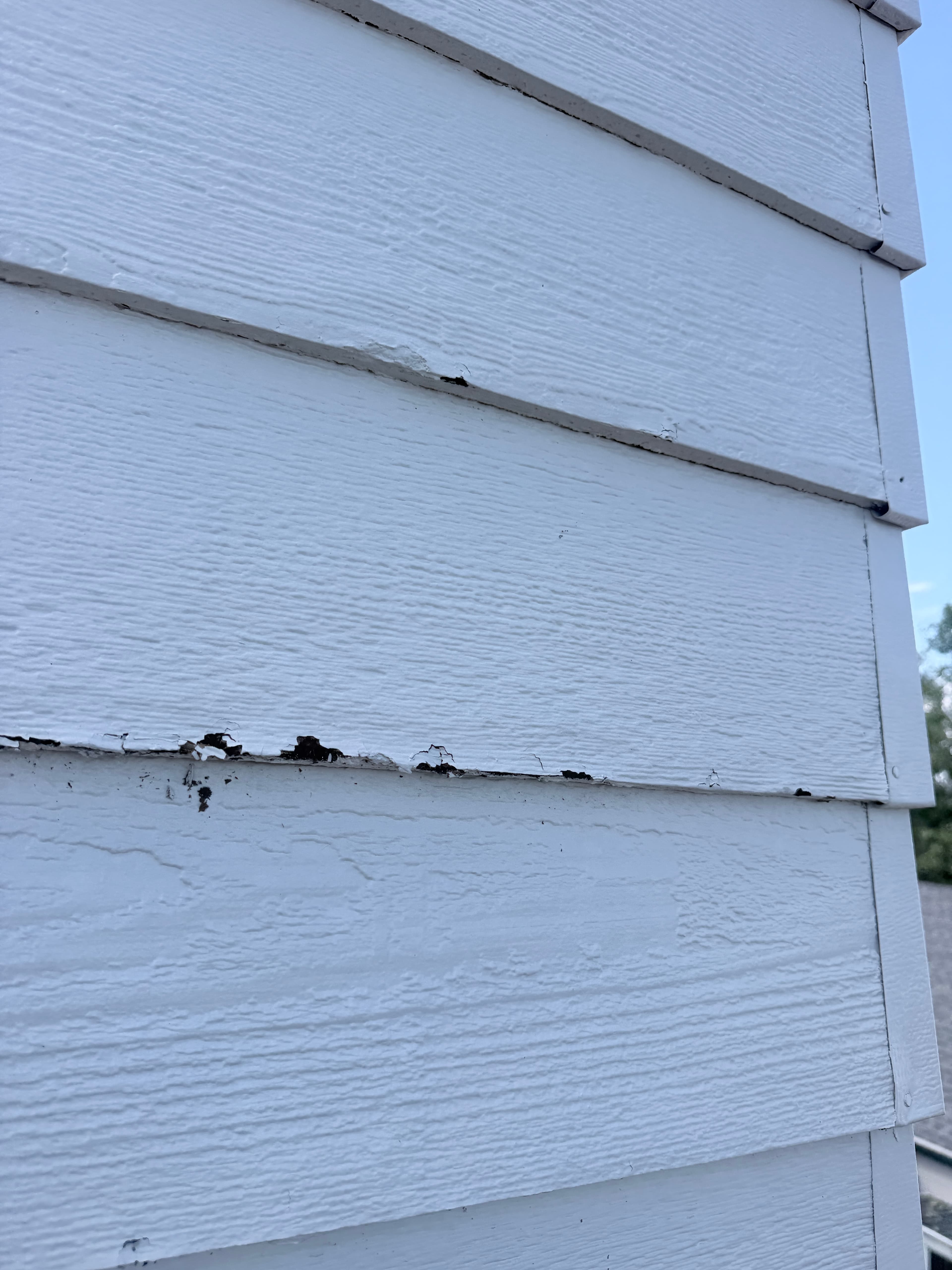 Paint & Trim