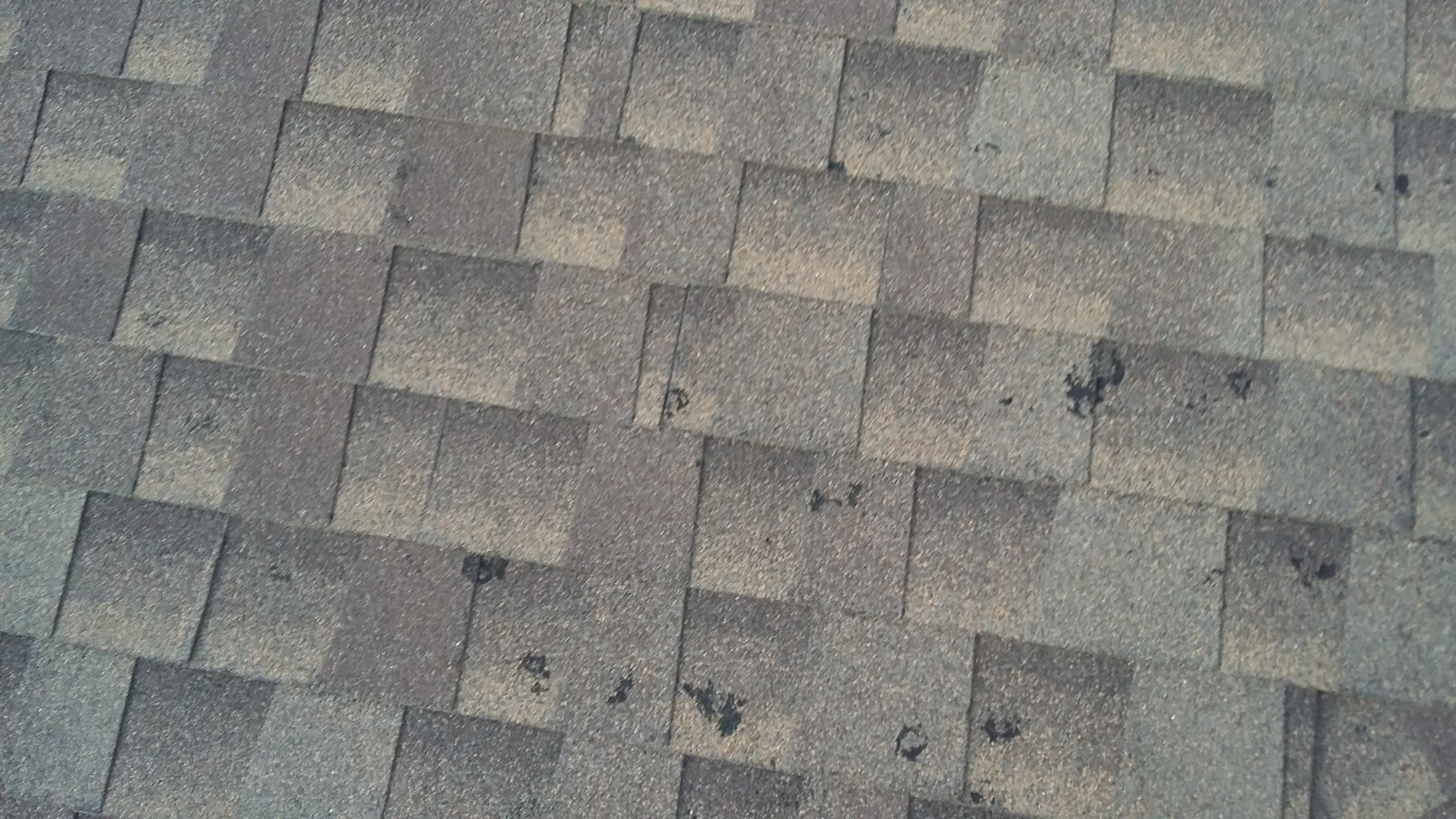 Roof & Gutters