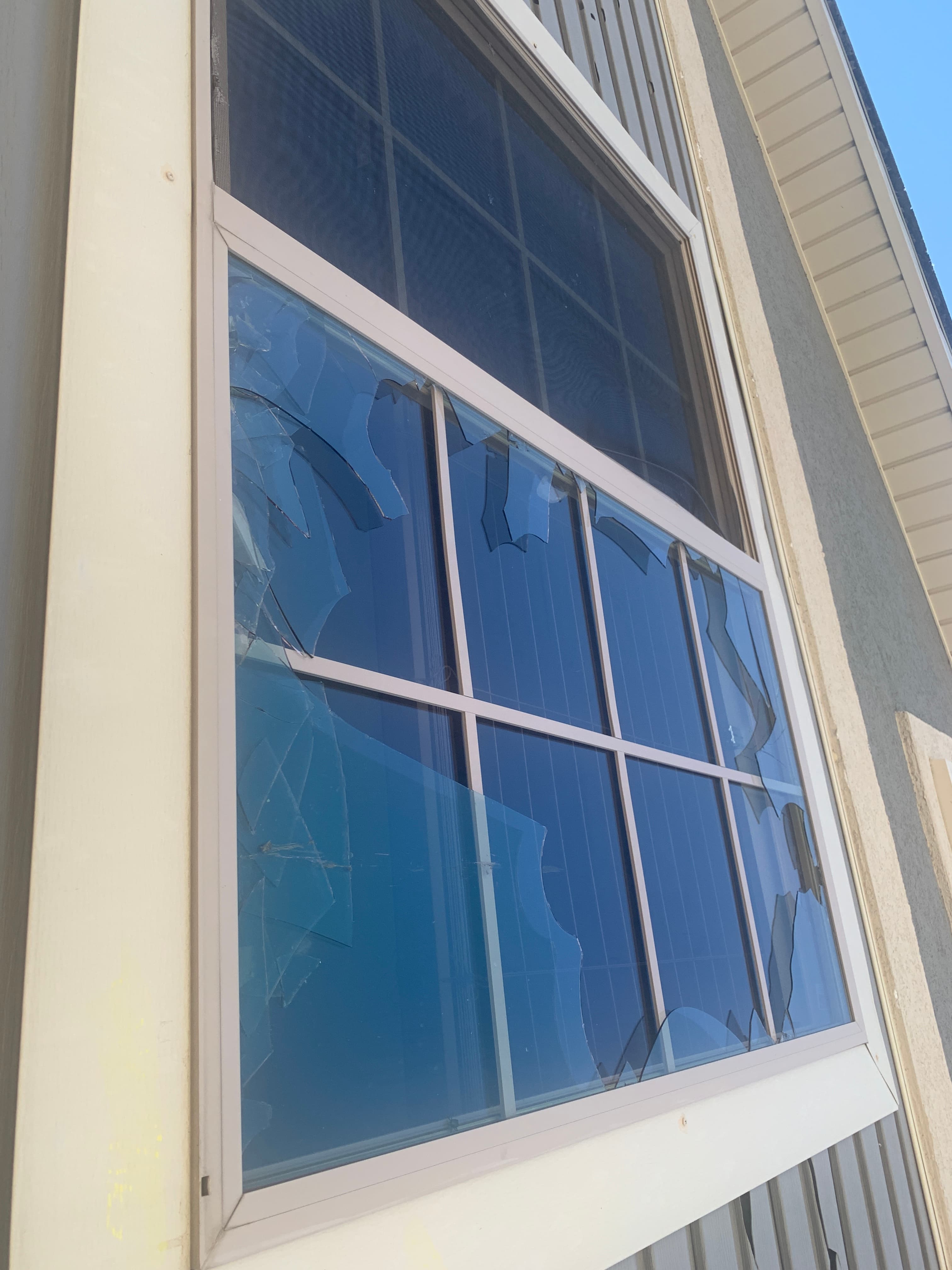 Windows & Doors